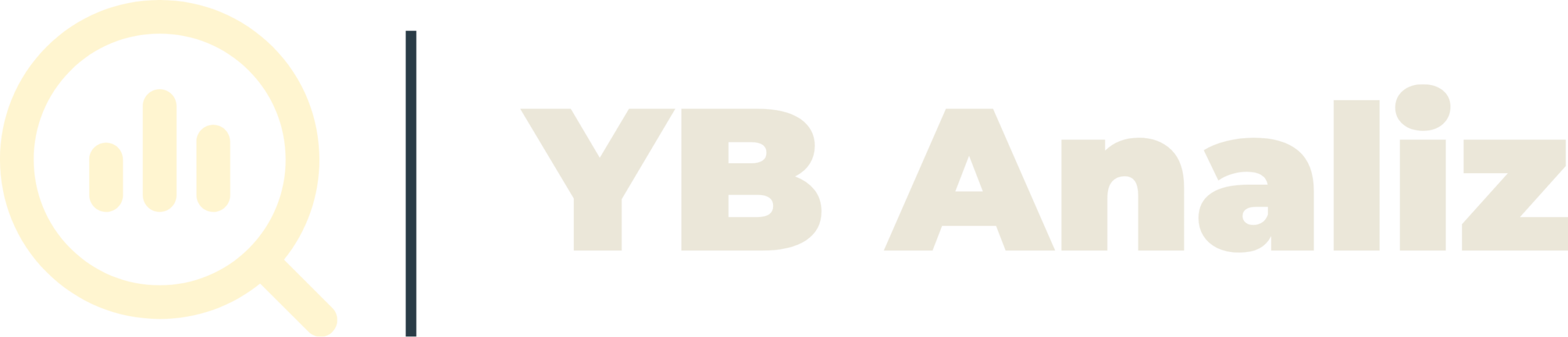 YB Analiz